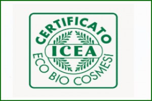 icea-logo