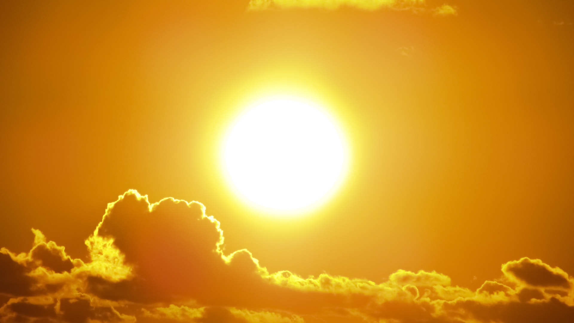 Natuurlijke zonnebrandcrème voor veilig en duurzaam zonnen