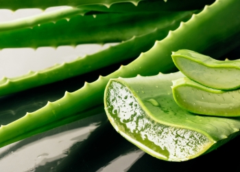 Aloe vera in natuurlijke huidverzorgingsproducten