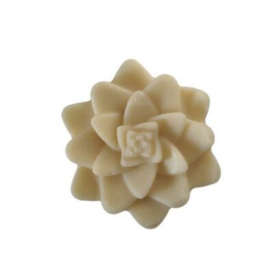 plasticvrije bodylotion bar